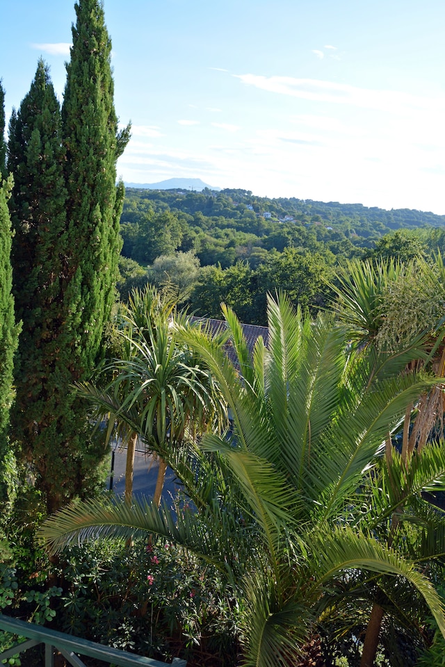 アトランティコア