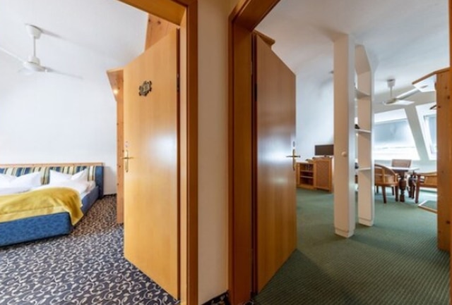 テルメン ホテル バートゾーデン アム タウヌス