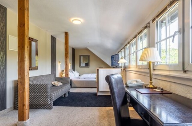 テルメン ホテル バートゾーデン アム タウヌス