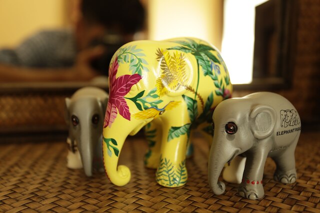 ゲストハウス リアムズ スアン ドック マイ