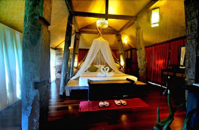 ファーン パラダイス