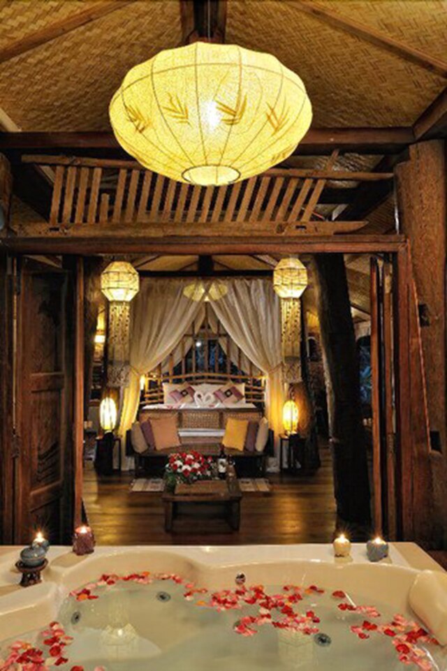 ファーン パラダイス