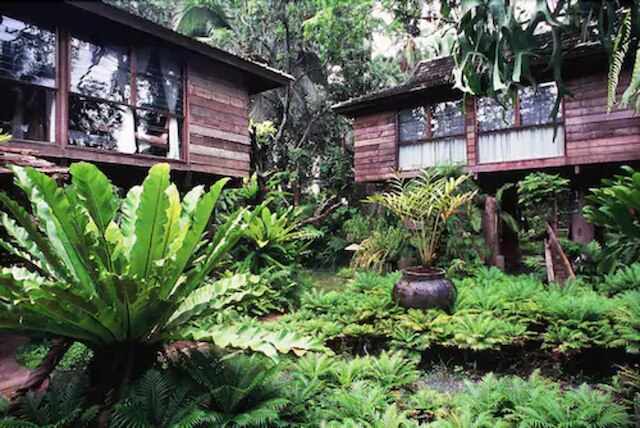 ファーン パラダイス