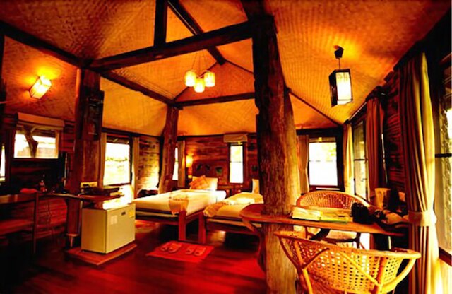 ファーン パラダイス