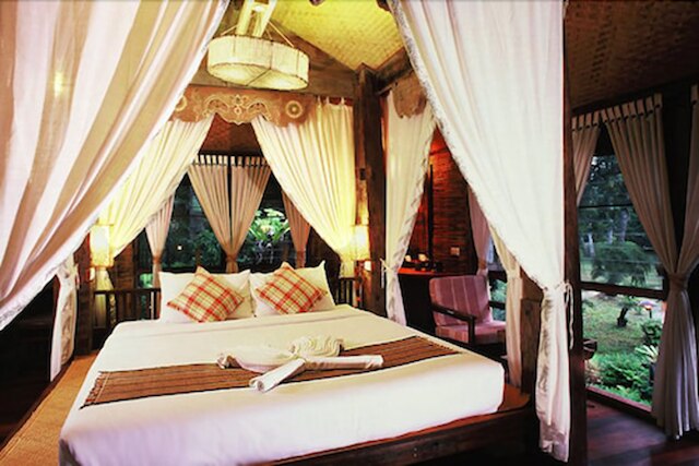 ファーン パラダイス