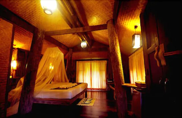 ファーン パラダイス