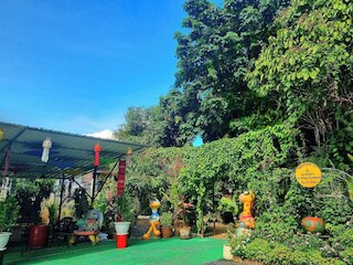 デ ウィアン クム カム