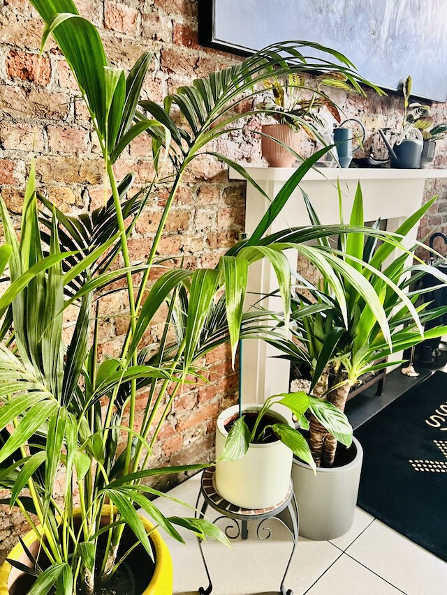 ザ メルヴィル  ホテル バイ ロクシー - キングス クロス