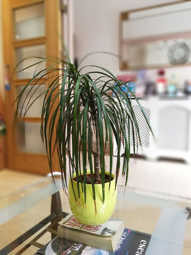 セントラル ホテル