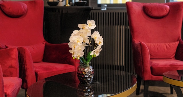 プラザ イン ザルツブルク シティ