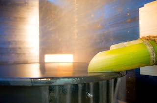 かわもと別邸３４６６