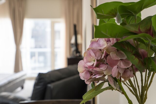 ハイゲスト - ブルジュアルヌジュームタワー