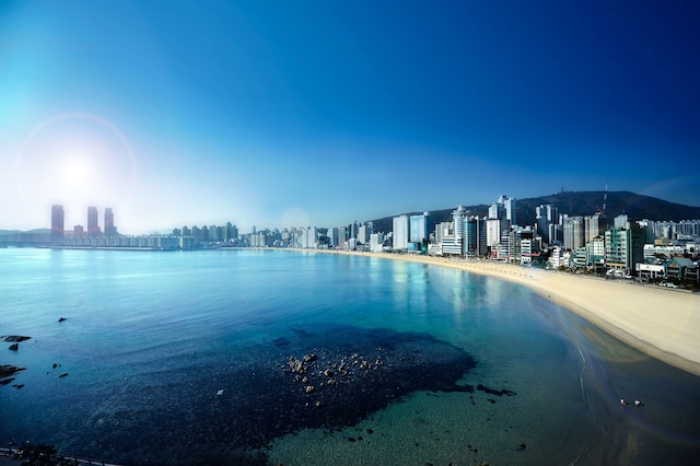 Ocean the point Hotel