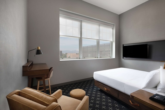 ザ スレート デンバー タペストリー コレクション バイ ヒルトン