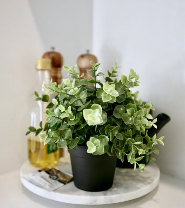 ラックス クワイエット アパートメント イン ポッツ ポイント