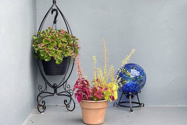 スイート アット ハウス オブ バ