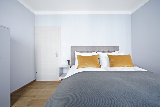 ヌマ ザルツブルク ノラ