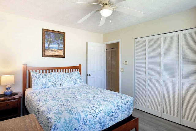 サーフ & ラケット クラブ #24 ニュー ベッドズ, ニュー ユー！