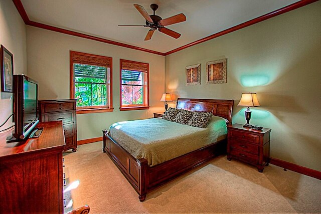 コレア 11D ウォーク トゥ ザ ビーチ