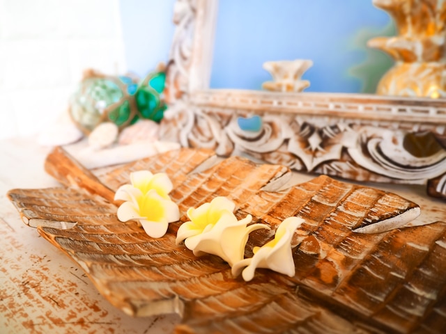 パームヴィラ石垣島 fusu