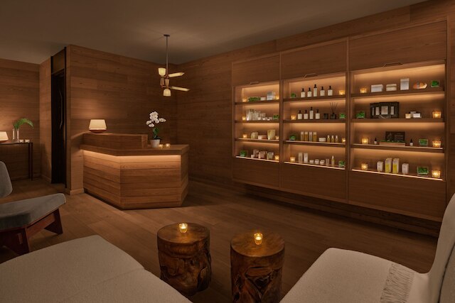 ザ レイキャビク エディション