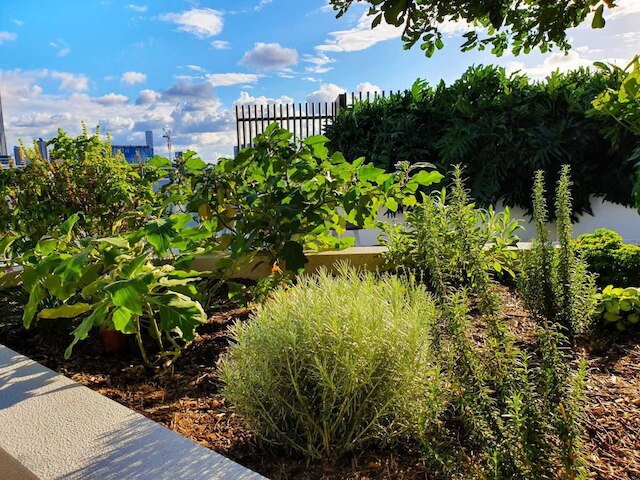 ベッBルーム フード ドリンク ハブ プール 2 カーズ ジム ルーフトップ