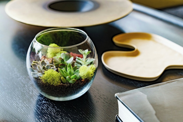 AC ホテル バイ マリオット ベセスダ ダウンタウン