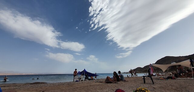 メロニー アパートメント