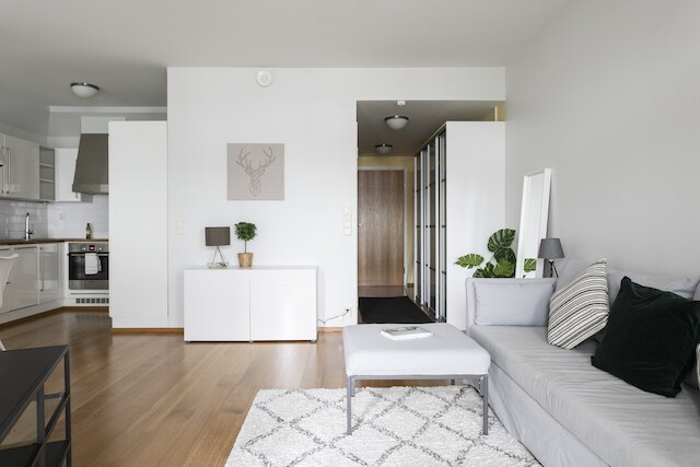 1BR アパートメント ウィズ スパ イン カンピ センター