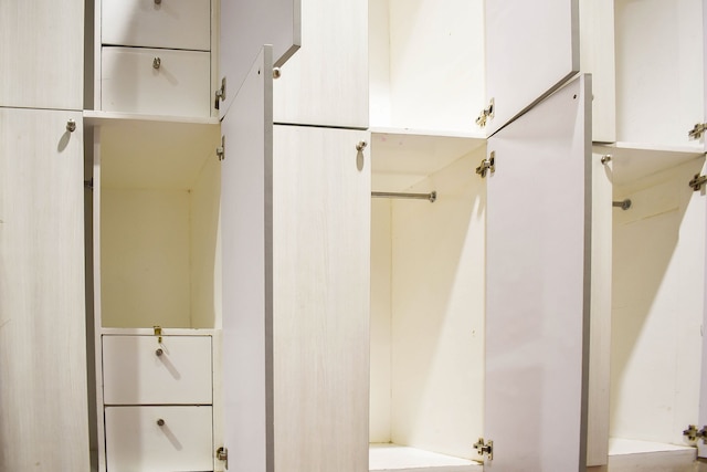 バァッチナーテッド スタッフ - キャピタル O 826 グリーン ウィンドウズ ドーミテル