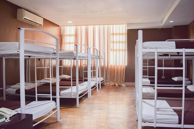 バァッチナーテッド スタッフ - キャピタル O 826 グリーン ウィンドウズ ドーミテル