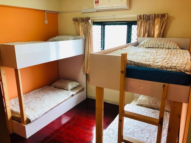 ベイビュー エクスカーション ホーム