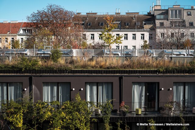 ホテル インディゴ ウィーン – ナッシュマルクト by IHG