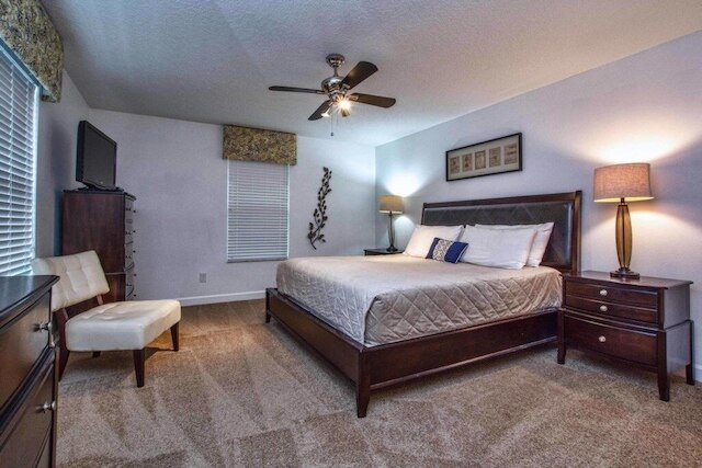 パラダイス パームズ- 5 ベッドルーム プール ホーム-3116PP 5 ホーム バイ レッドオーニング