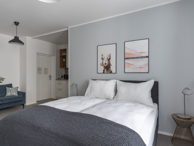 ライムホーム リンツ フリードリヒシュトラッセ