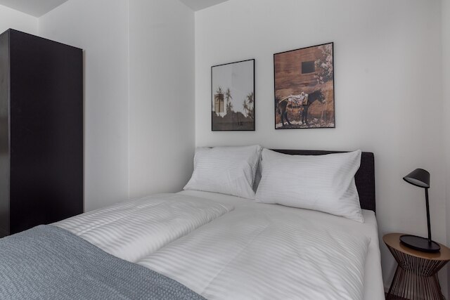 ライムホーム リンツ フリードリヒシュトラッセ