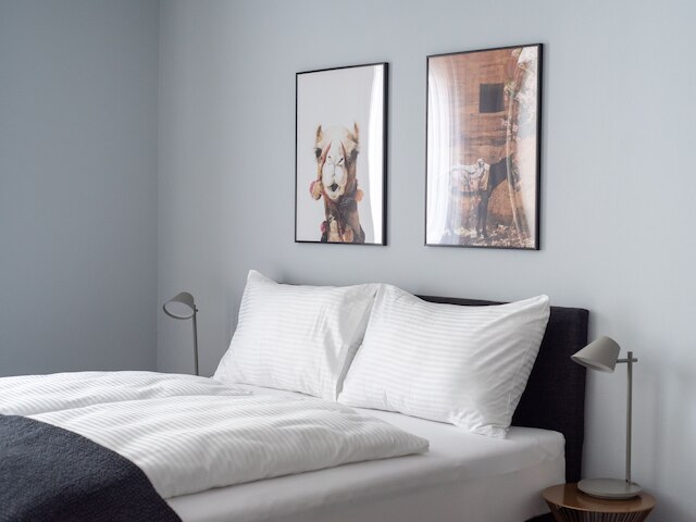 ライムホーム リンツ フリードリヒシュトラッセ