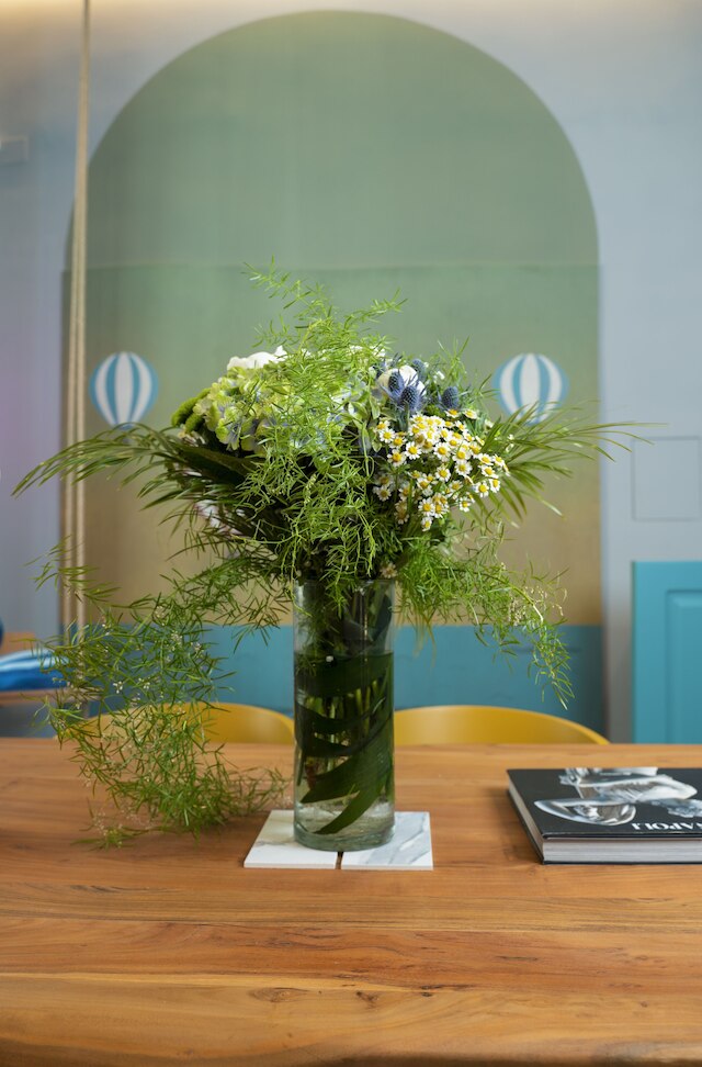 レッティフィロ 311