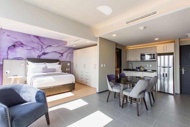 HS オットソン ロング ステイ CDMX コンデサ スール