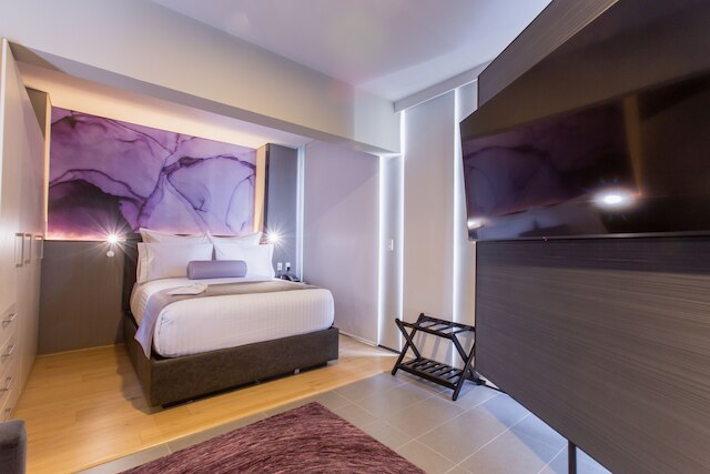 HS オットソン ロング ステイ CDMX コンデサ スール