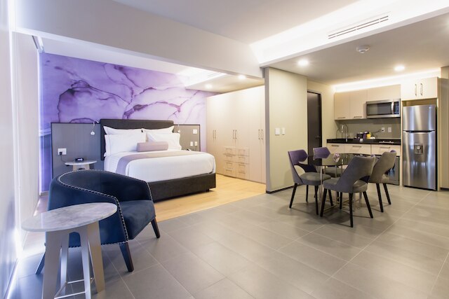 HS オットソン ロング ステイ CDMX コンデサ スール