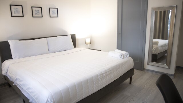 シンギュラー アンタラ ポランコ