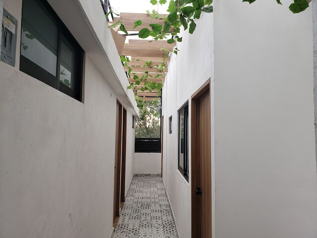 シンギュラー アンタラ ポランコ