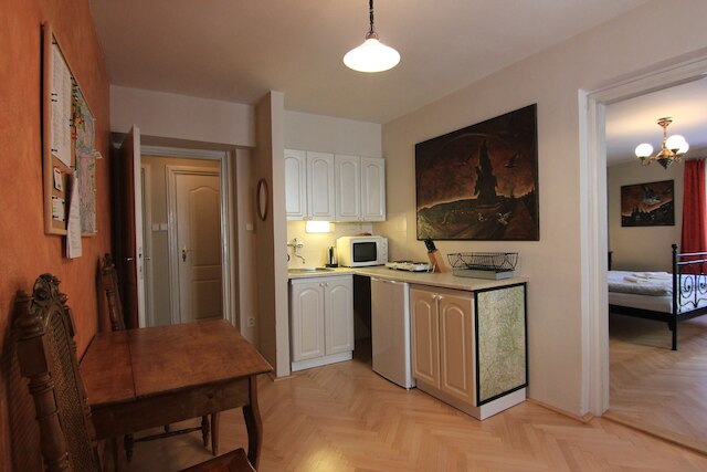 コージー ラスティック 1 ベッドルーム アパートメント イン マラ ストラナ