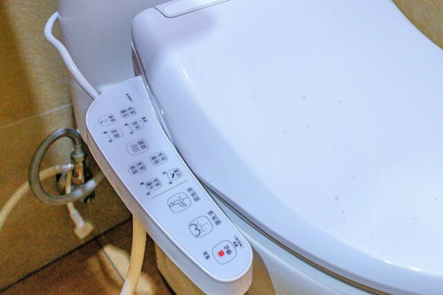 Dingai Holiday Museum