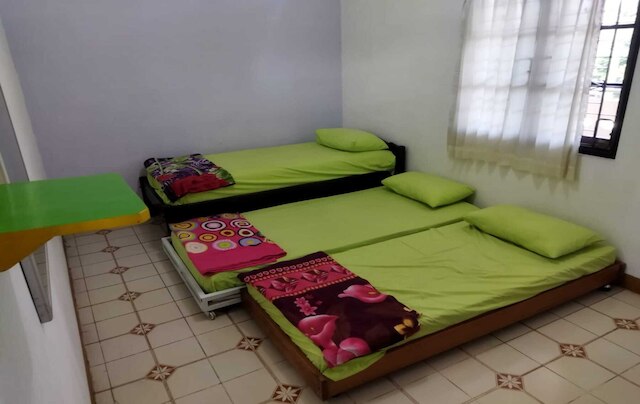 バシロ ホームステイ 46