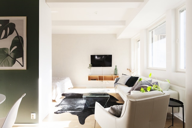 スタイリッシュ ブライト 42M2 スタジオ ウィズ バルコニー