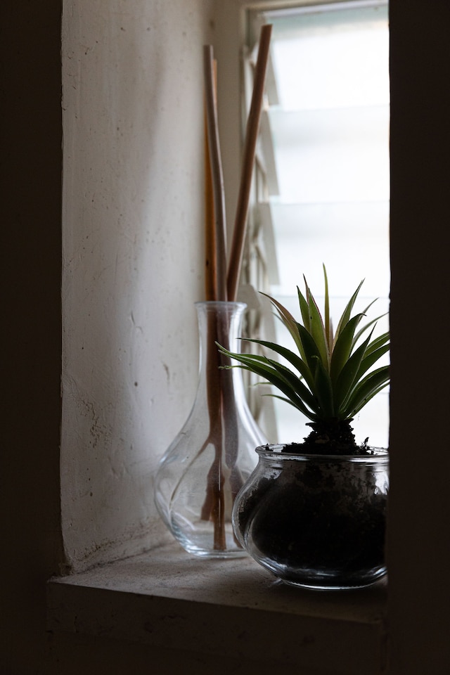 ゴージャス バウハウス インテリル ニア ザ ビーチ