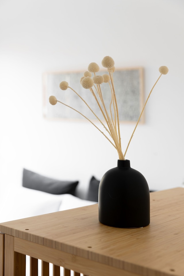 エレガント 2 Bド アパートメント イン ジャファ エリア