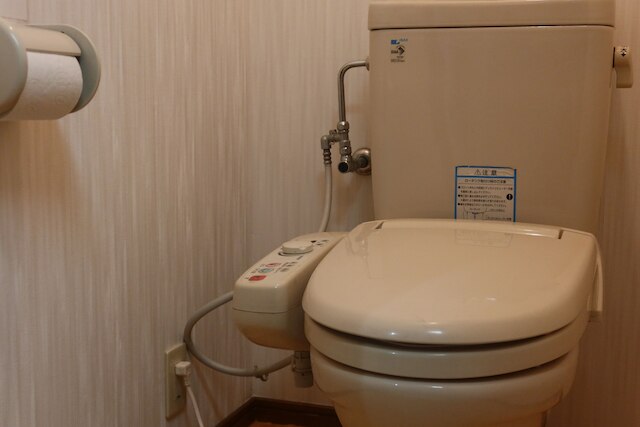 miyu reitsuki wahuukodate